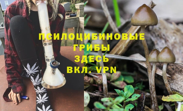 мет Алексин