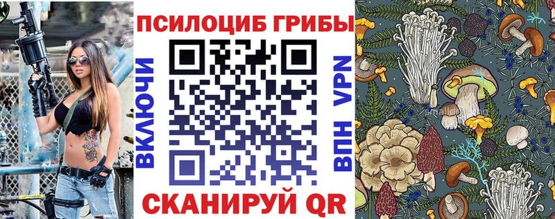 гидра   Москва  Галлюциногенные грибы мицелий 